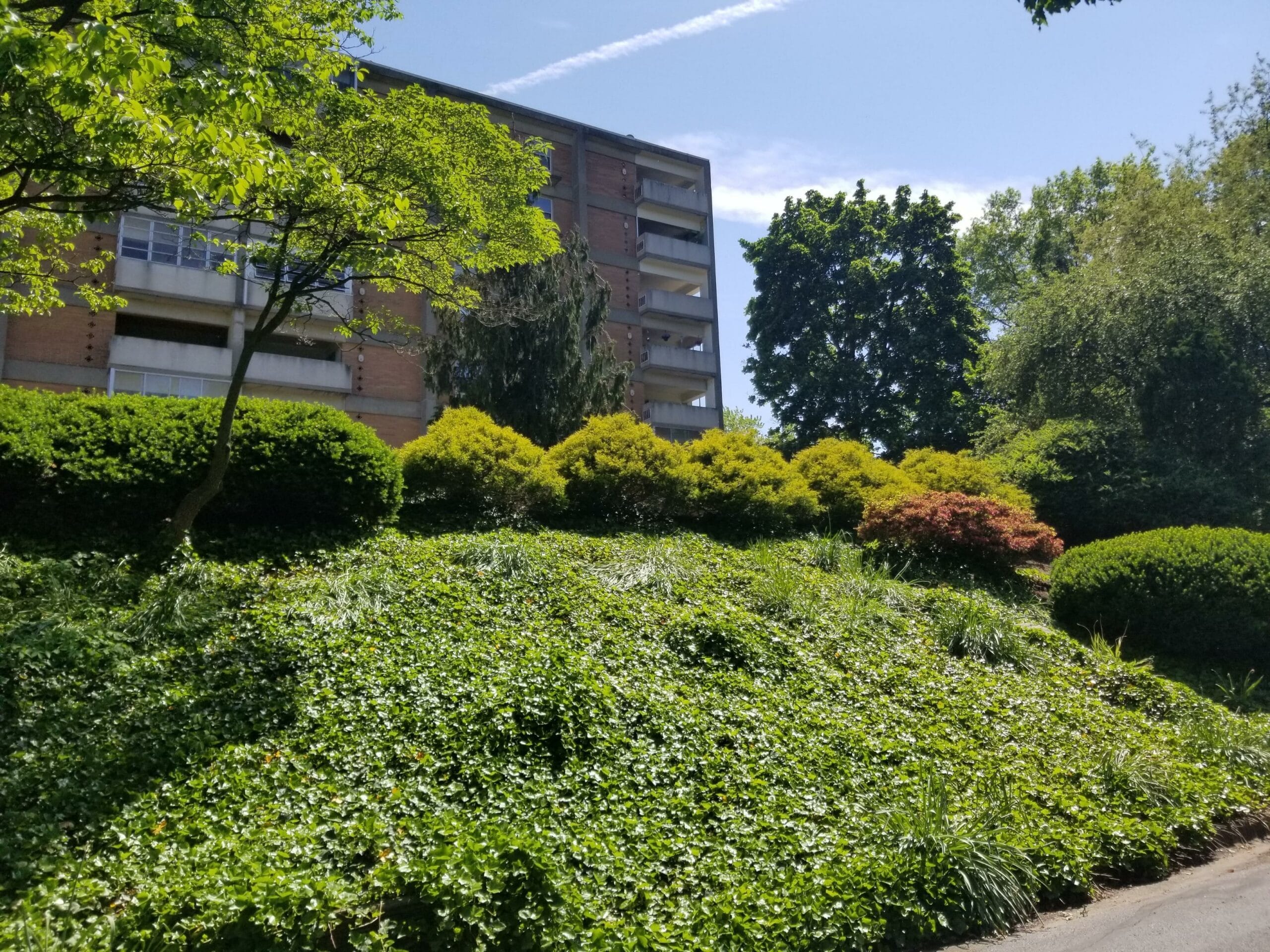 highland-side-landscape-scaled